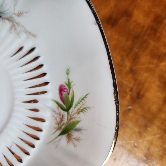 ROYAL ADDERLEY Canadian Provincial Flowers LADYSLIPPER Saucer  Only Bone China - Picture 10 of 12